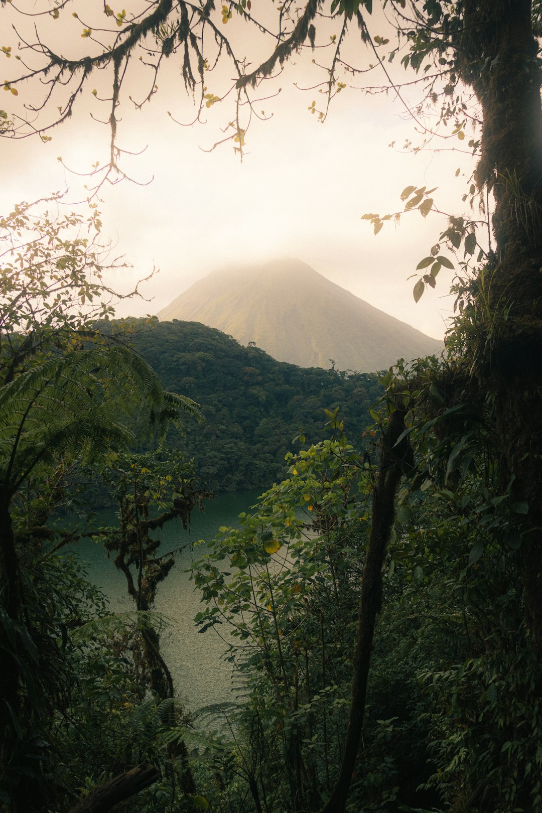 Solo Traveler in Japan